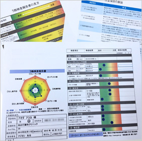 虫歯リスク検査レーダーチャート